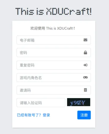 皮肤站注册表单示意图
